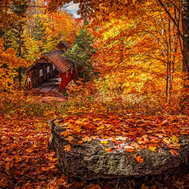 L’automne
