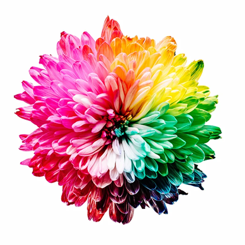 Couleurs