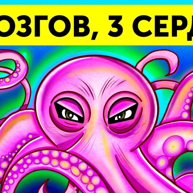 Если бы вы были осьминогом...